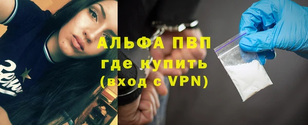 гидра Аркадак