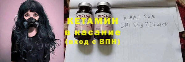 гидра Аркадак