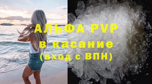 гидра Аркадак