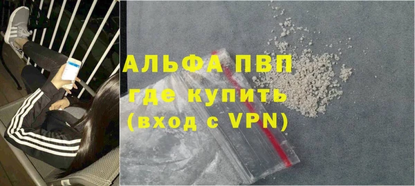 сатива Армянск