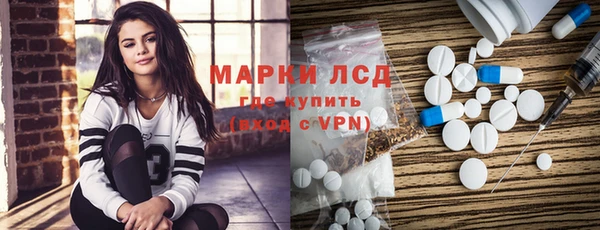 сатива Армянск