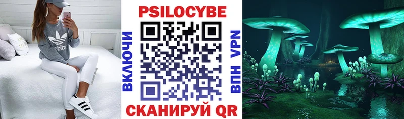купить  цена  Светлоград  Галлюциногенные грибы GOLDEN TEACHER 